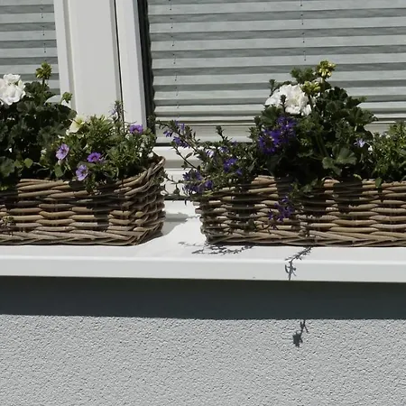 Wiesenblick Nahe Region Celle Und Hannover Apartman