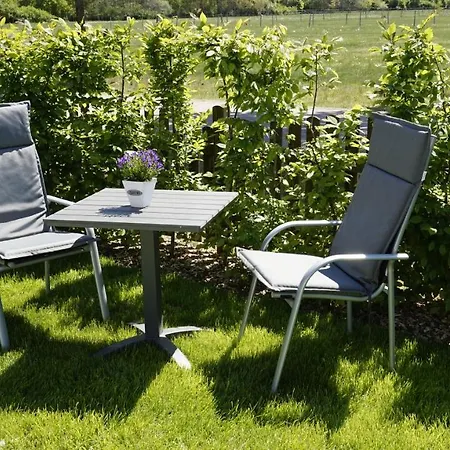 Wiesenblick Nahe Region Celle Und Hannover Apartment *