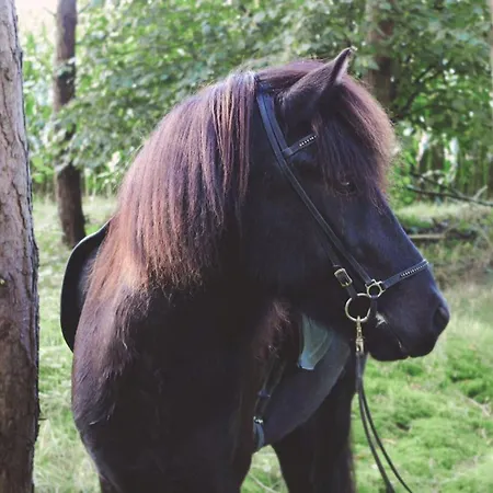 Daire Wiesenblick Nahe Region Celle Und Hannover *