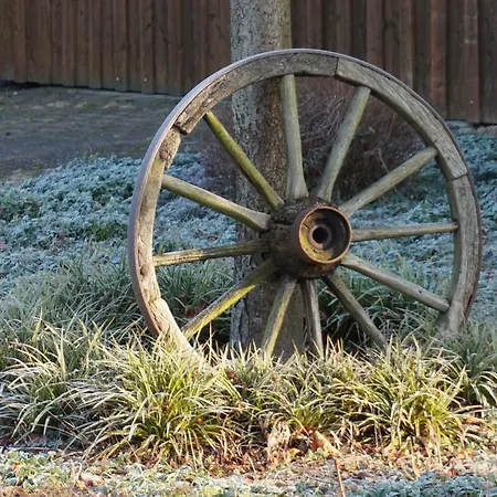 Wiesenblick Nahe Region Celle Und Hannover Buchholz Aller
