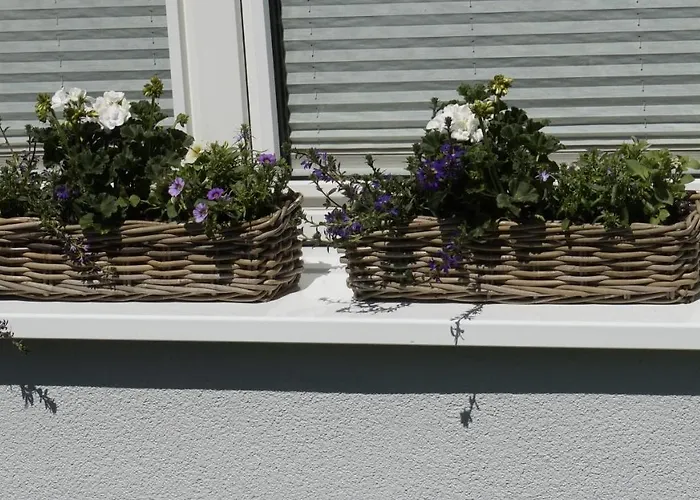 Wiesenblick Nahe Region Celle Und Hannover Appartement