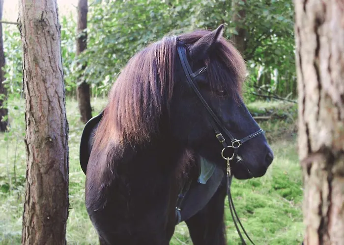 Appartement Wiesenblick Nahe Region Celle Und Hannover *