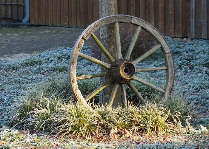Wiesenblick Nahe Region Celle Und Hannover Буххольц
