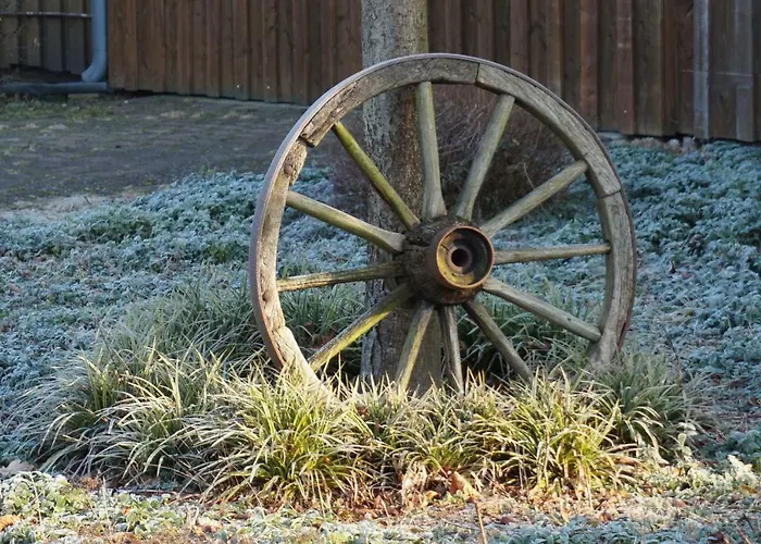 Апартаменты Wiesenblick Nahe Region Celle Und Hannover *